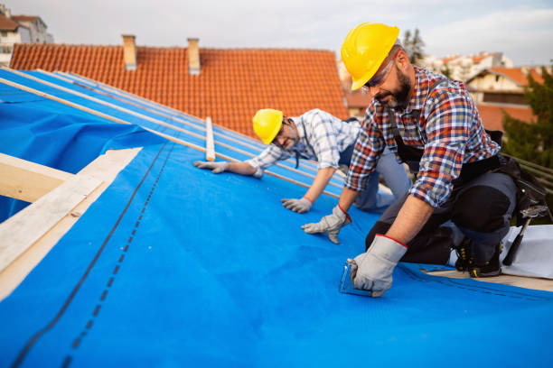 Best Roof Maintenance Services  in Becker, MN